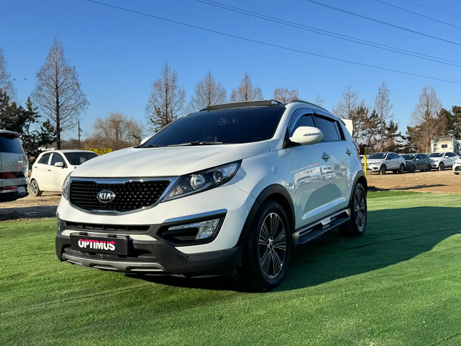 2014 Kia Sportage